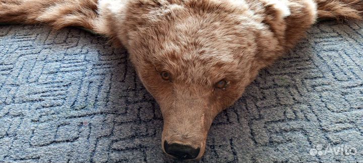 Имитация шкура медведя