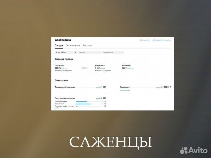Авитолог. Услуги Авитолога