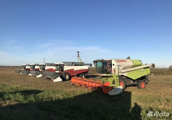 Комбайнер Claas Tucano