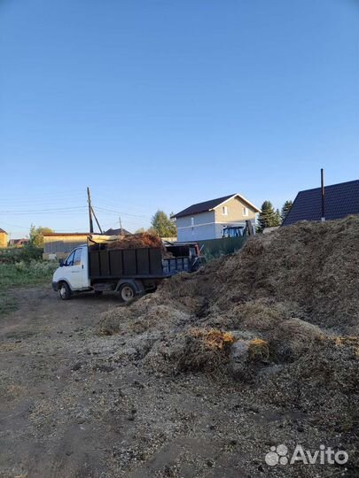 Конский навоз