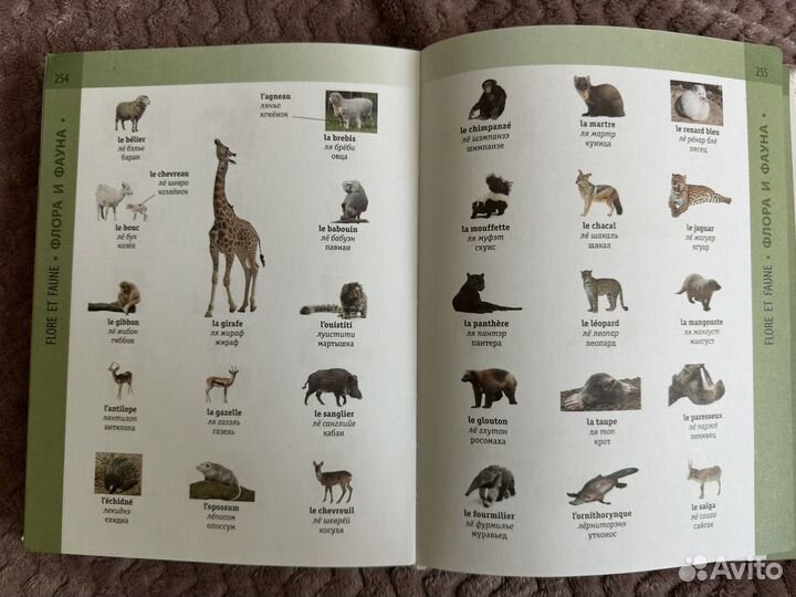 Французско-русский словарь