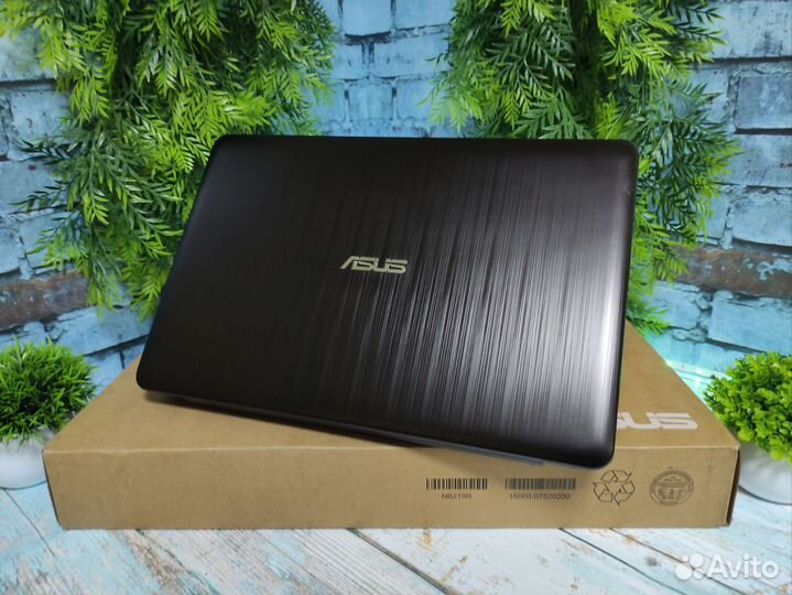 Asus 15.6