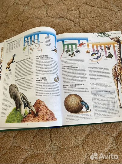 Большая иллюстрированная энциклопедия школьника