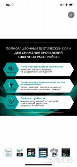 Корм для кошек