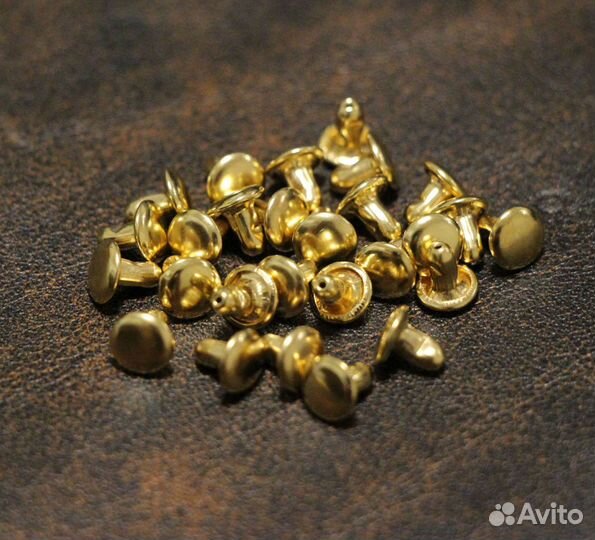 Хольнитены двухсторонние