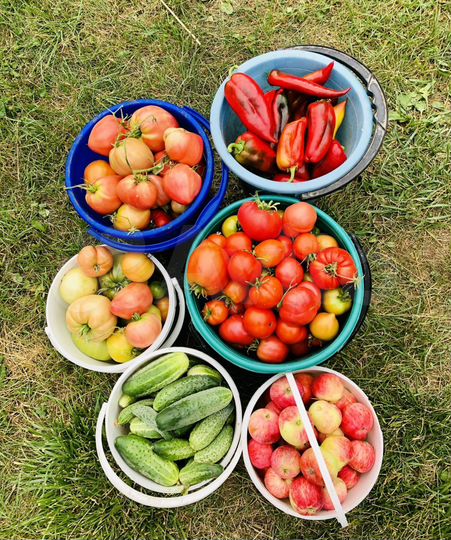 Дача 30 м² на участке 6 сот.