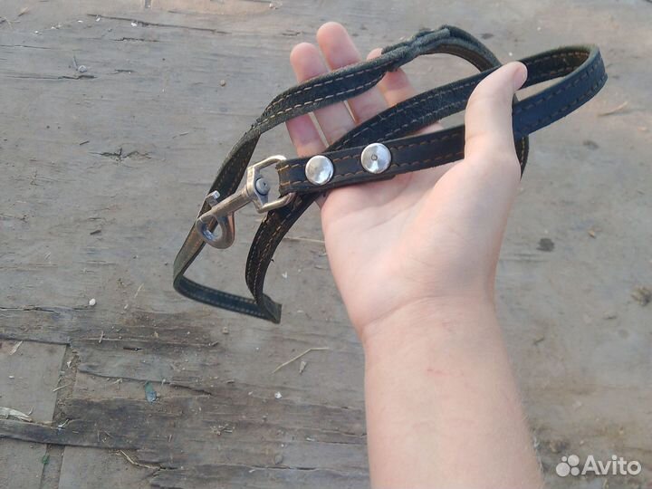 Поводок для собаки