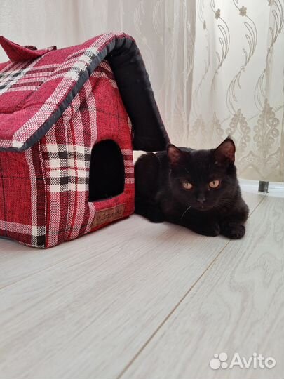 Домик для кошки мягкий