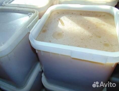 Мёд настоящий