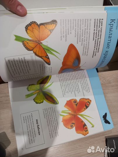 Насекомые. Полная энциклопедия