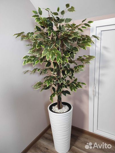 Фикус Бенджамина искусственный