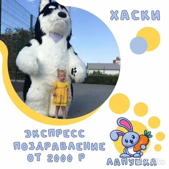 Хаски поздравление