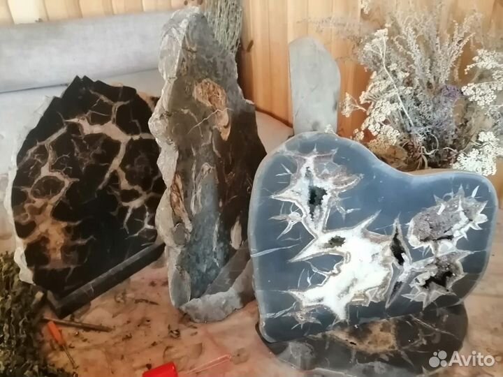 Минералы. Окаменелости. Пирит. Жеоды. Септарии