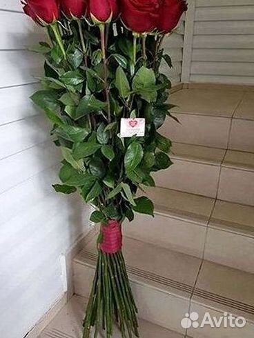 Букет роз 101 роза 51 роза