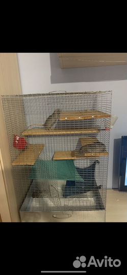 Самодельная клетка для крыс/хорьков/шиншилл