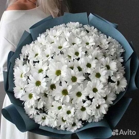 Хризантема. Букеты Цветы доставка