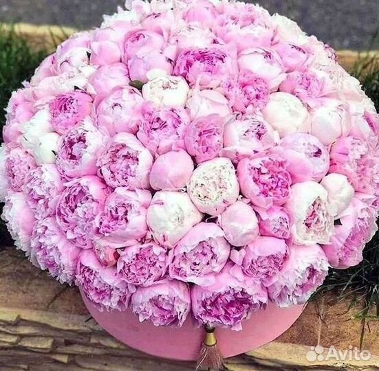 Пионы Букет пионов