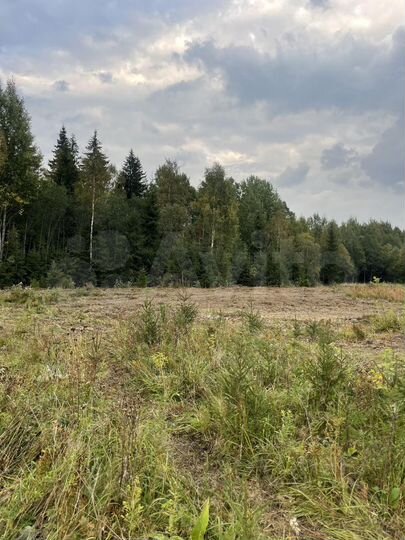 Участок 7 сот. (СНТ, ДНП)