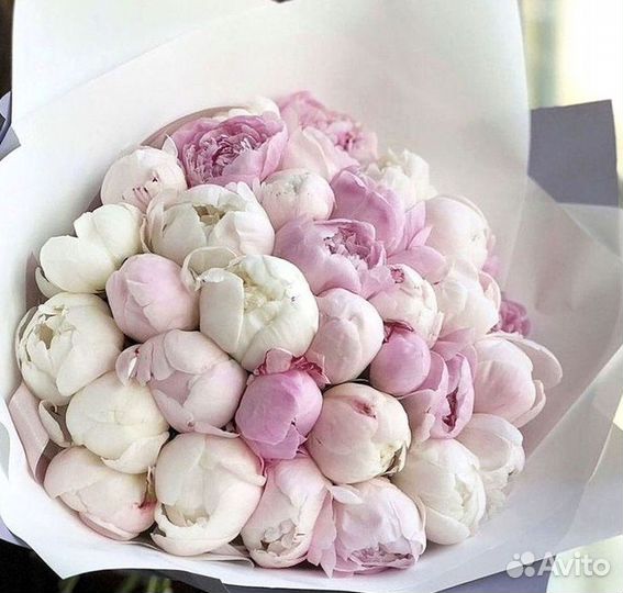 Пионы Букет пионов