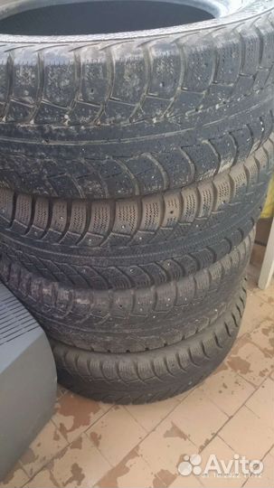 Gislaved Euro Frost 5 195/65 R15