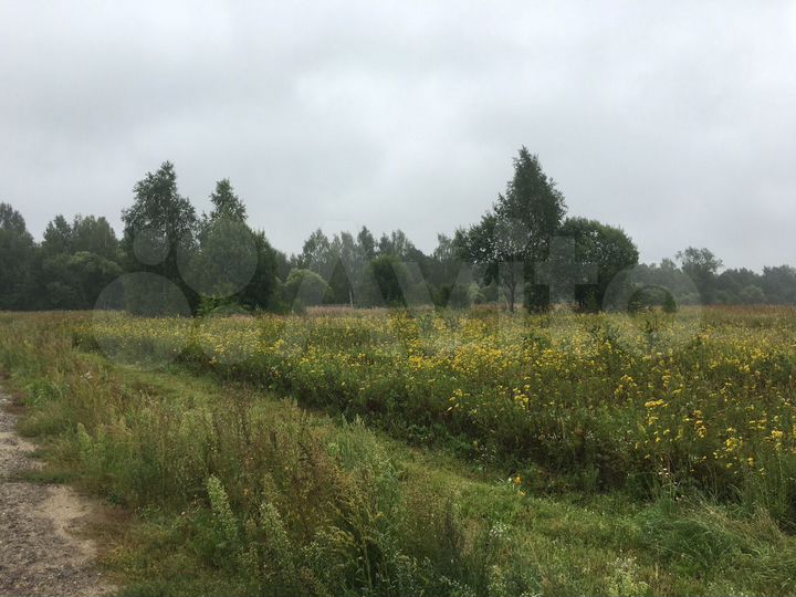 Участок 10 сот. (СНТ, ДНП)