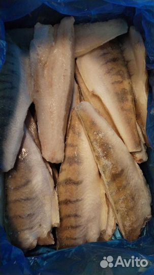 Филе судака с/м