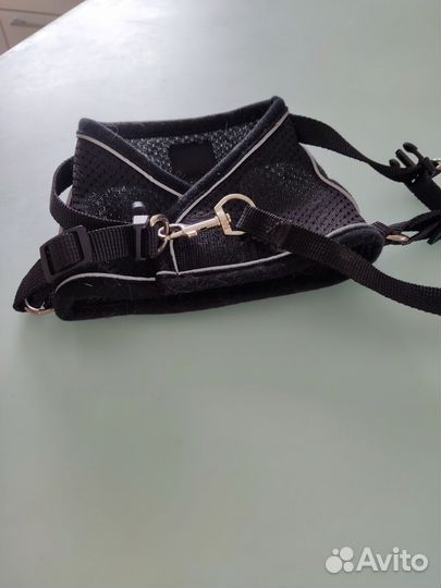 Ошейник - шлейка