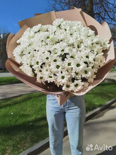 Хризантема цветы букеты