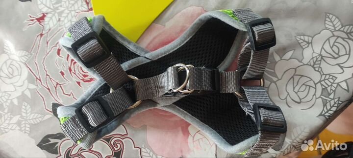 Шлейка для маленькой собаки