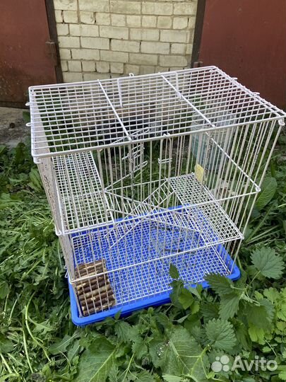 Клетка для грызунов большая