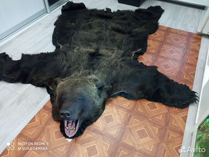 Ковёр медведя(имитация)