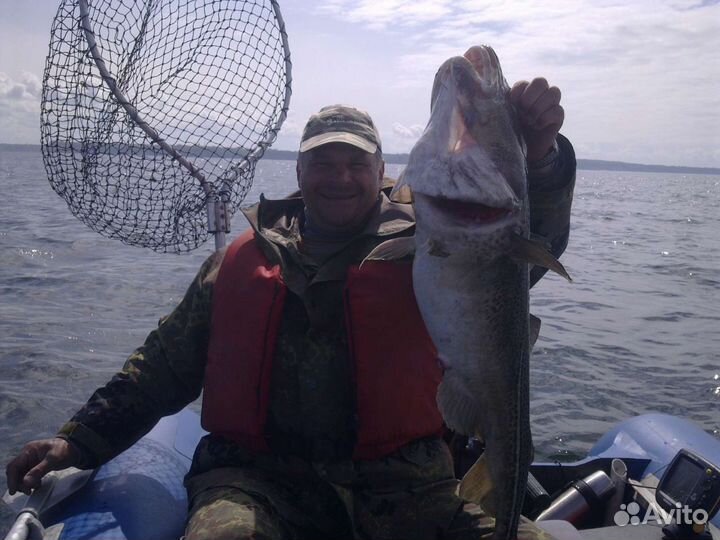 Рыбалка треска,судак,лосось