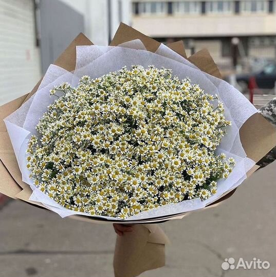 Букеты. Доставка ромашек