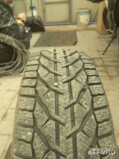 Tigar Winter 195/60 R15