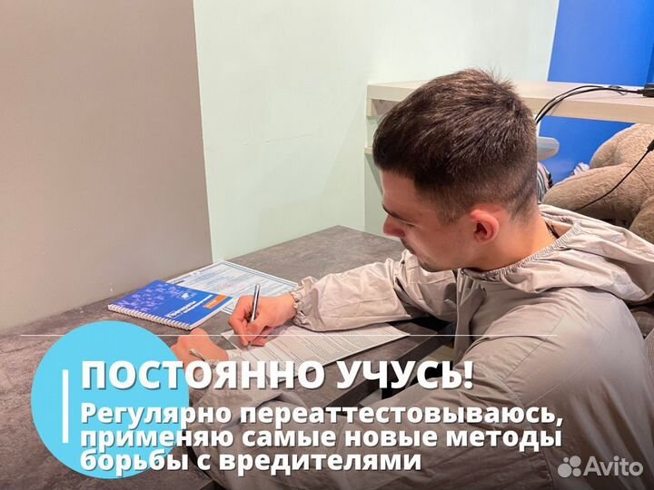 Уничтожение тараканов Уничтожения клопов