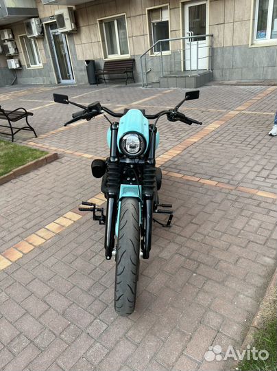 Harley Davidson street bob (fxbb str)