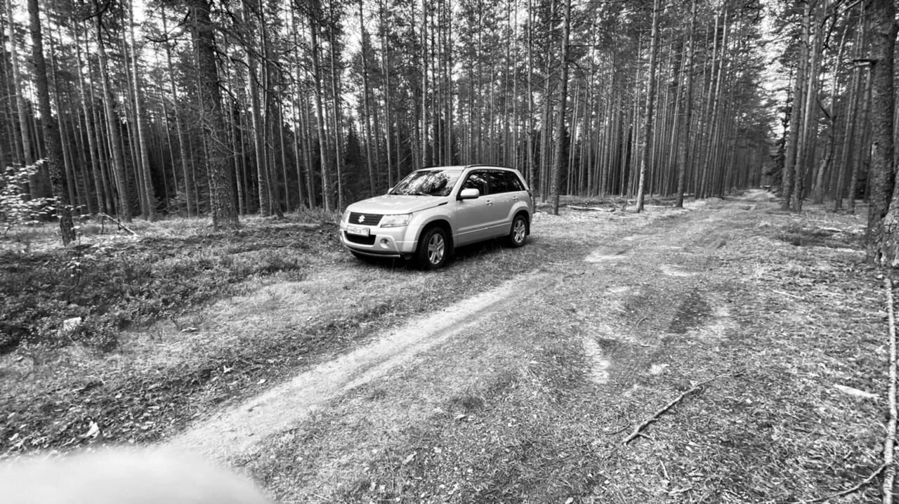 Suzuki Grand Vitara: фото владельца