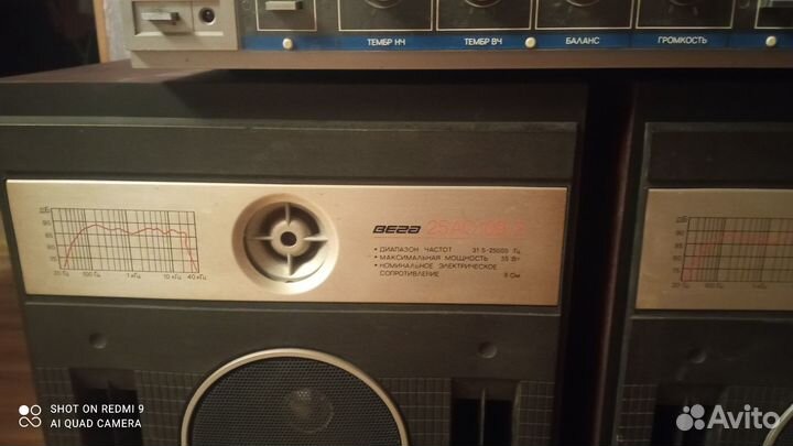 Акустика и усилитель Вега