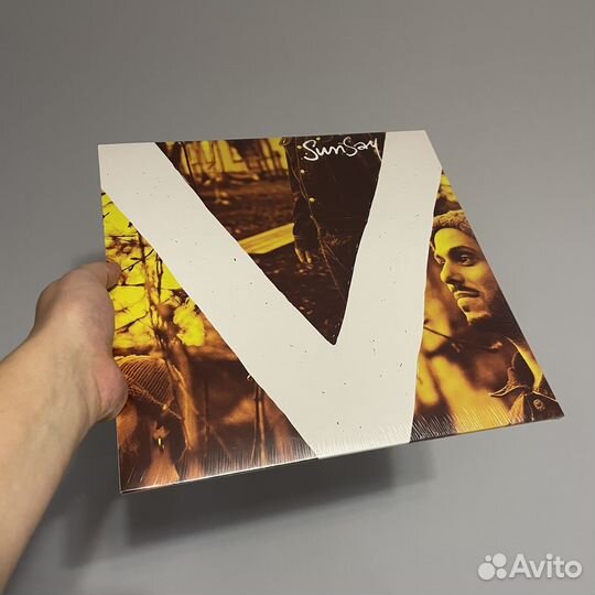 Винилы SunSay, Upsetters, Кирпичи, Marvin Gaye
