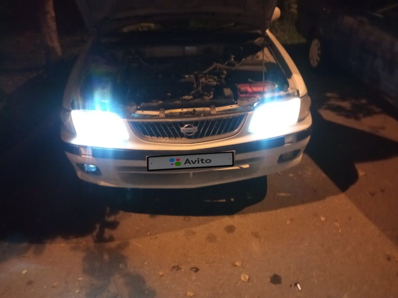Nissan Sunny: фото владельца