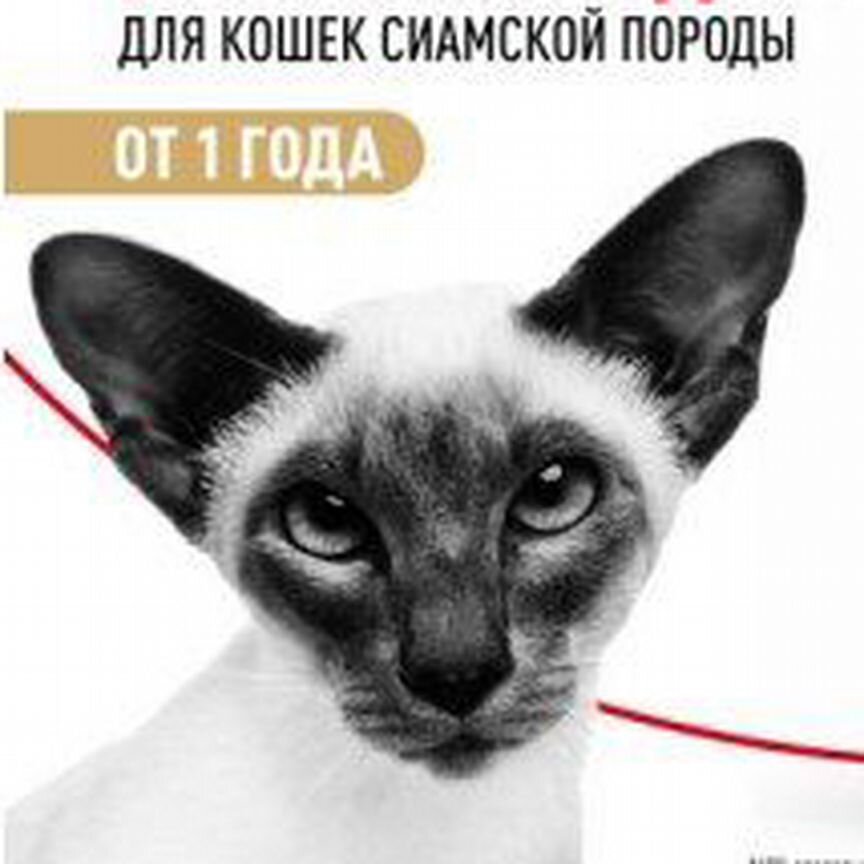 Siamese adult PRO (сиамиз эдалт про) 7 кг