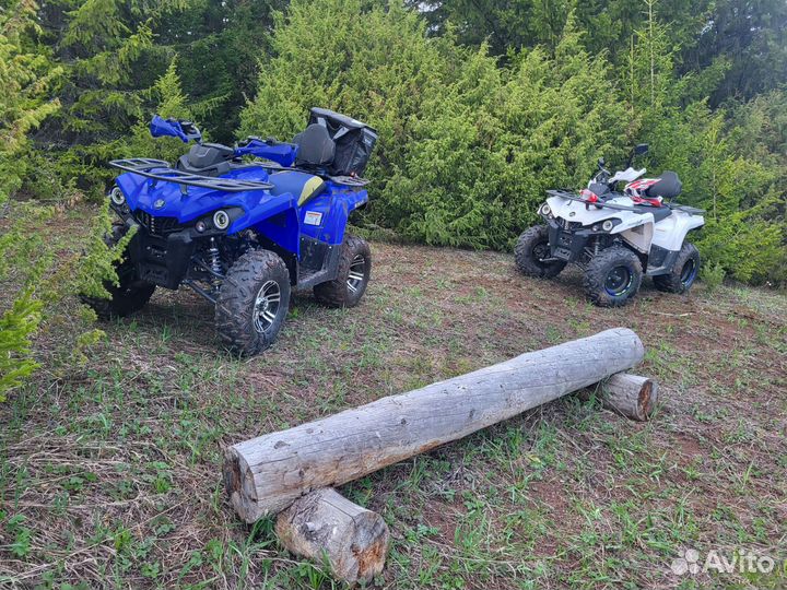 Прокат квадроциклов