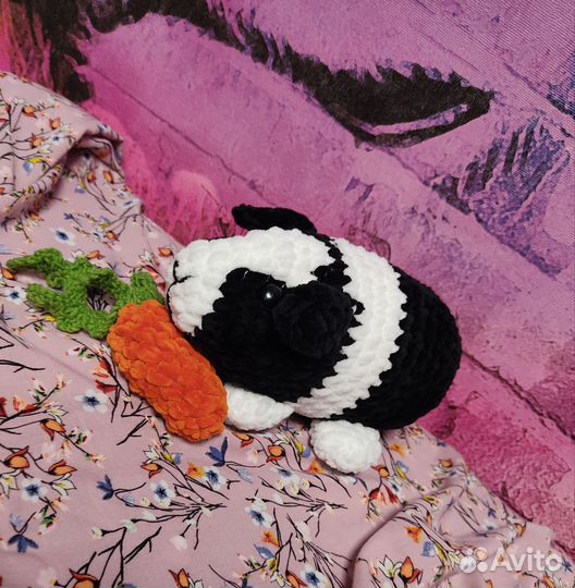 Морская свинка