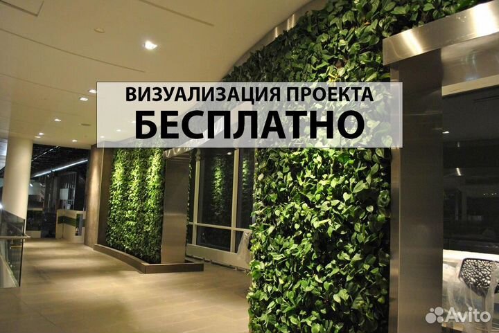 Вертикальное озеленение / Фитостена