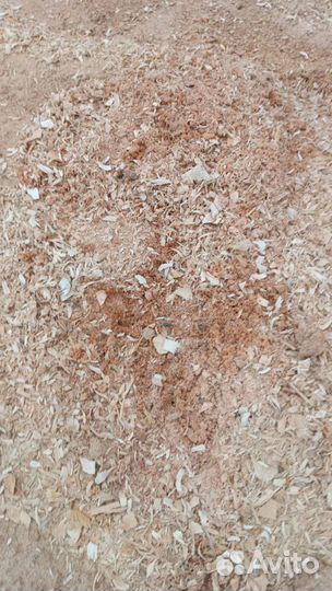 Опилка мешками