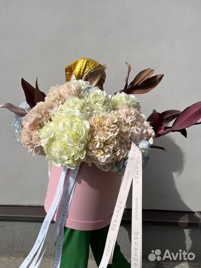 Гортензий в коробке