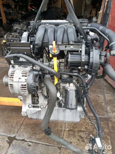 Двигатель Skoda Octavia A5 BSE 1.6 Бензин