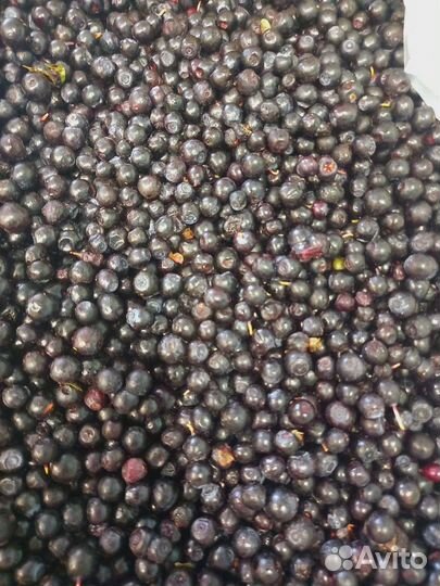 Вишня черника клюква бруснка облепиха смородина