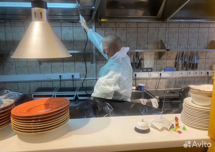 Уничтожение клопов тараканов, Демеркуризация ртути