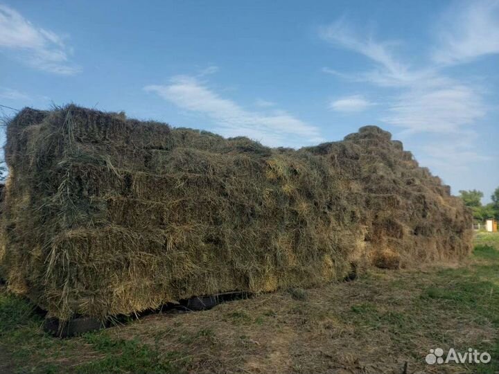 Сено, солома в тюках